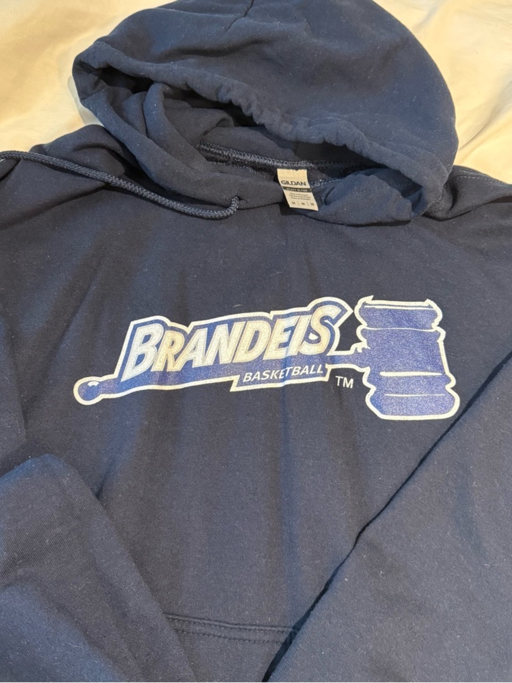 💙 BRANDEIS JUDGES university Med hoody LN EUC blue NCAA D3 basketball MA